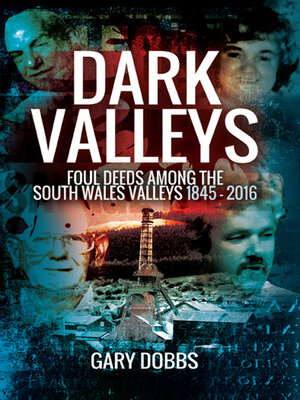 cover image of Dark Valleys